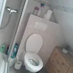 Mg