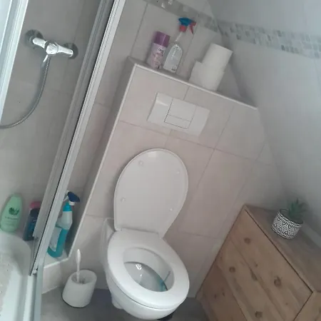 Mg